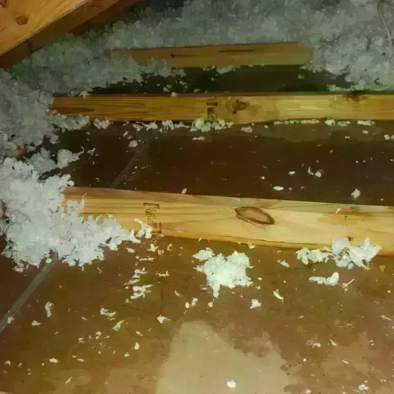 Attic Water Damage in Dawson, GA