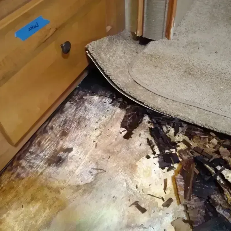 Wood Floor Water Damage in Dawson, GA